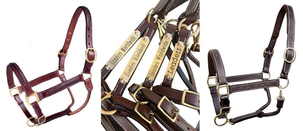 Leather Halters combined image
