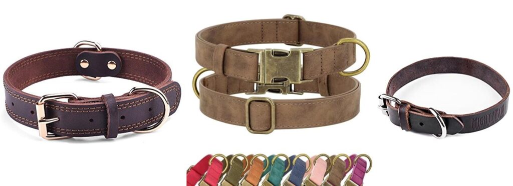 leather dog collar combined image