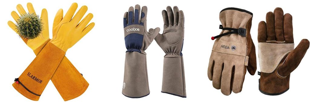 Gloves For Blackberry Bushes combined image